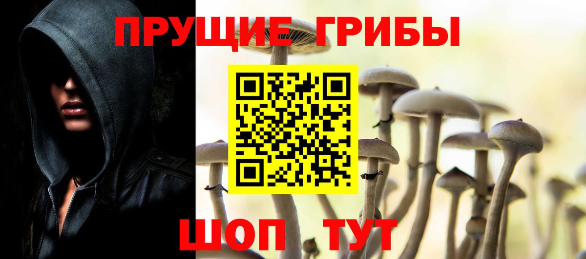 Галлюциногенные грибы Psilocybe  Вход с VPN  Галлюциногенные грибы GOLDEN TEACHER  Долгопрудный 